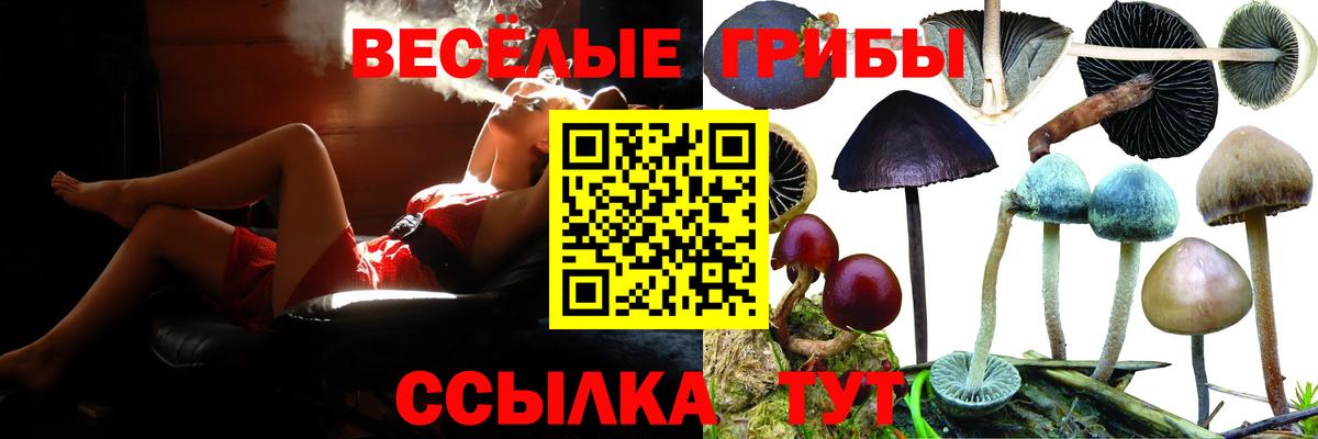 Холмск  закладки  Вход с VPN  Галлюциногенные грибы мухоморы 